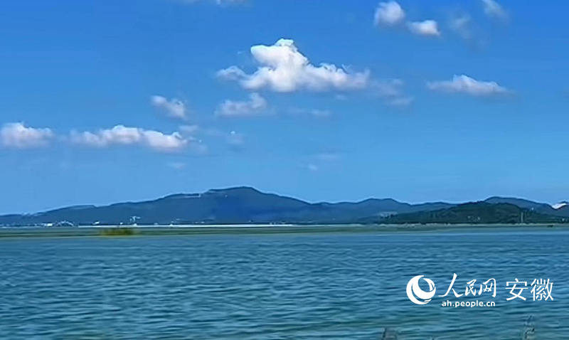 菜子湖国家湿地公园一隅