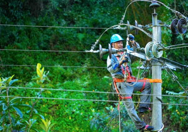 国网石柱供电公司员工在石柱县中益乡更换绝缘子设备。