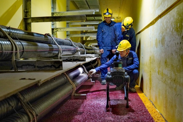 巡检人员使用智能设备进行电缆通道特巡工作。