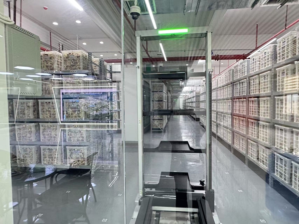 陈皮智能公共仓机器人在作业。浦北县委宣传部供图