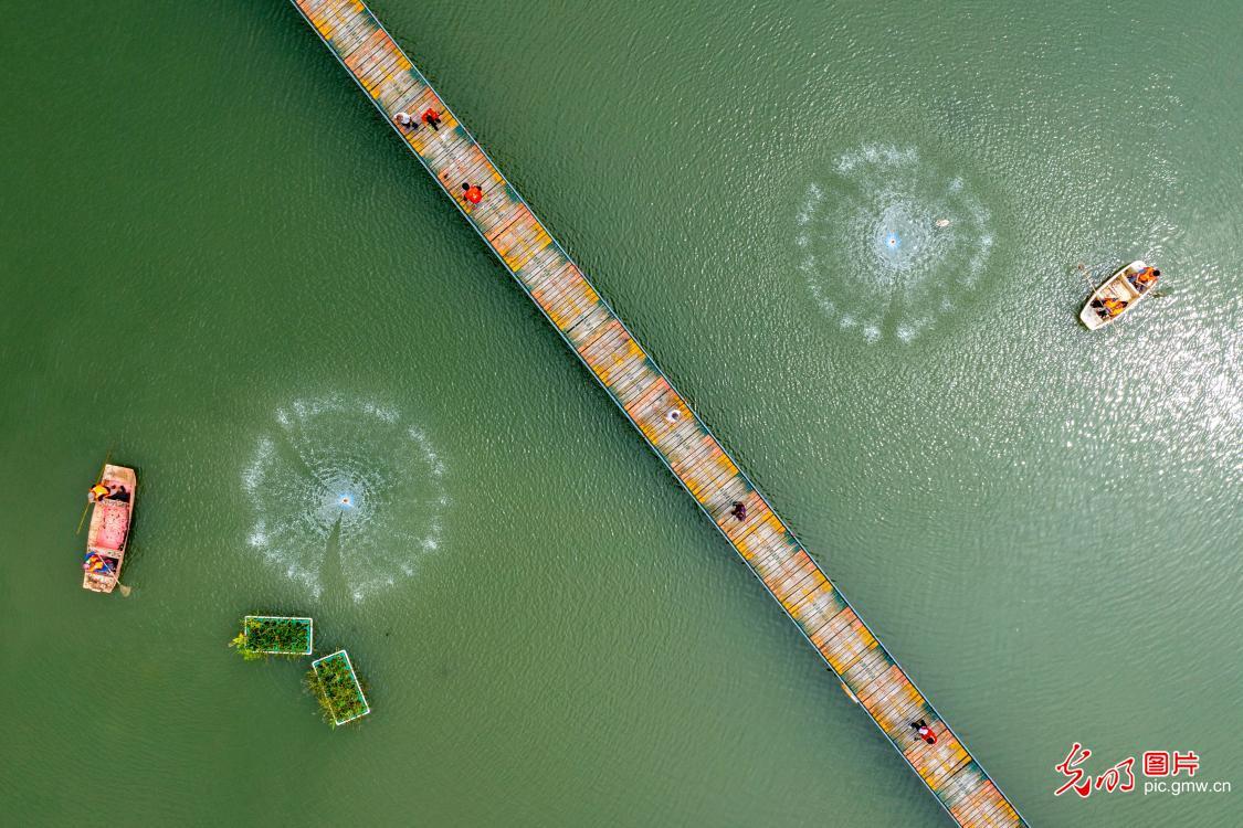 图片描述：绿水青山就是金山银山主题宣传画