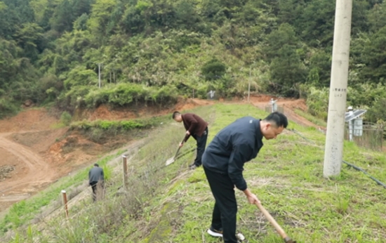 组织干部职工清理杂草。汤翔摄