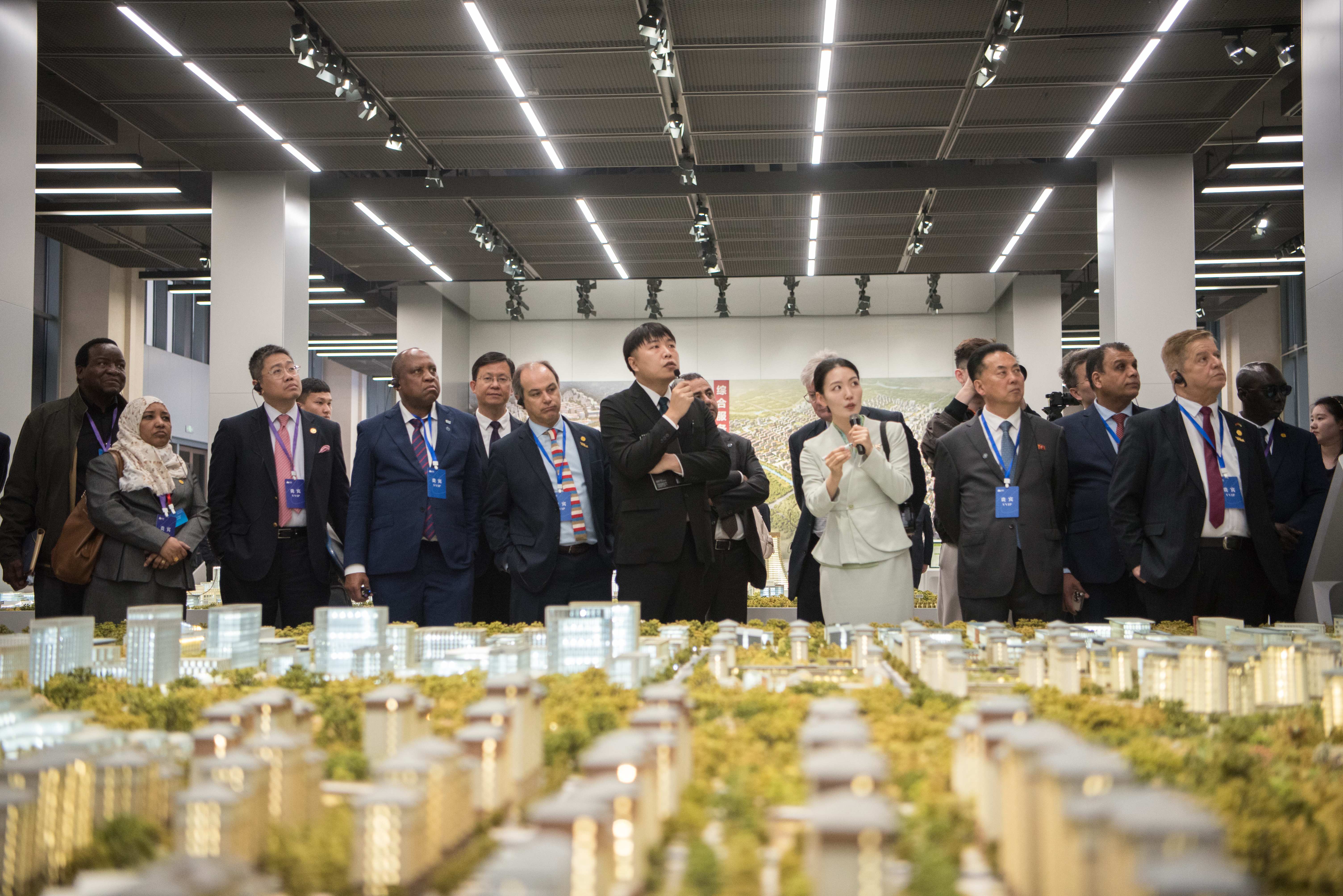 驻华使节在雄安新区考察启动区综合服务中心。刘尊拴摄